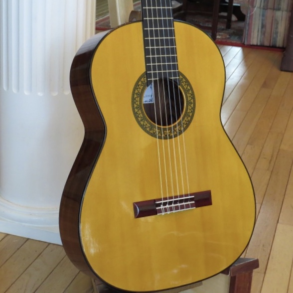 2002 John Price Chartwell Guitar